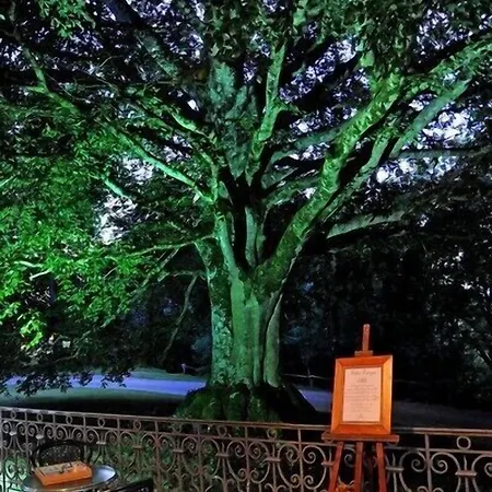Chateau De 4*