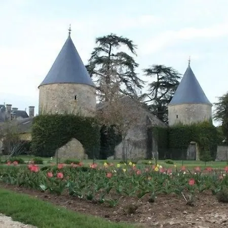 Chateau De Hotel Curzay-sur-Vonne